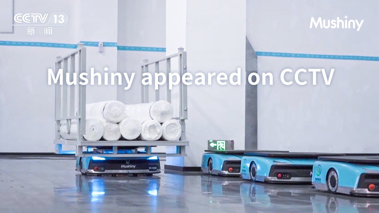 Mushiny solution is recognize by Cross-border E-commerce players according to latest CCTV news
