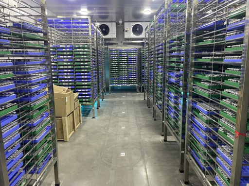 Beijing cold storage project